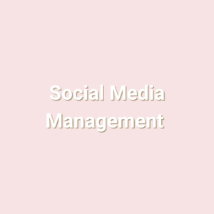 Papion Marketing Social Media Management